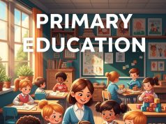 Why Primary Education Is the Foundation of Child Development Primary Education