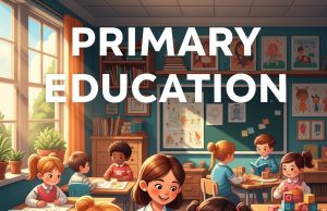 Why Primary Education Is the Foundation of Child Development Primary Education